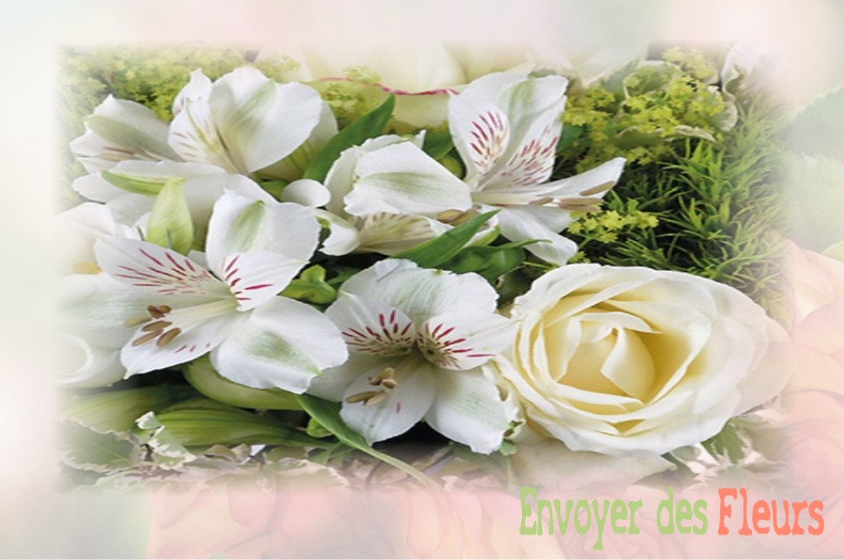 envoyer des fleurs à à COLOMBIER-LE-VIEUX
